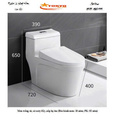 Bồn cầu một khối Tokyo ST/KZ-038