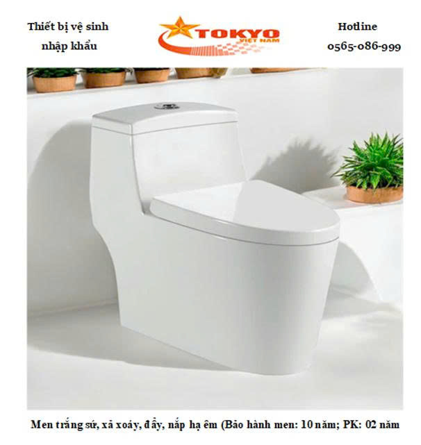 Bồn cầu một khối Tokyo ST/KZ-018